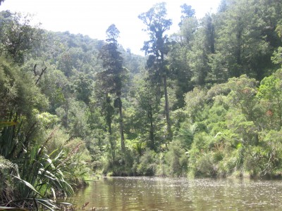 Wairau River, Marlborough, South Island