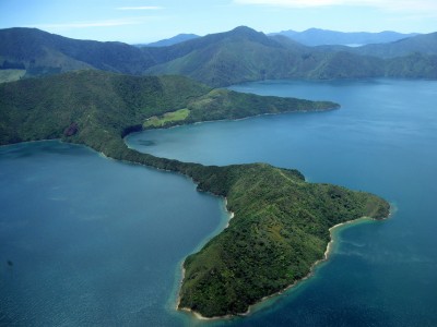 Maud Island, Marlborough Sounds, South Island