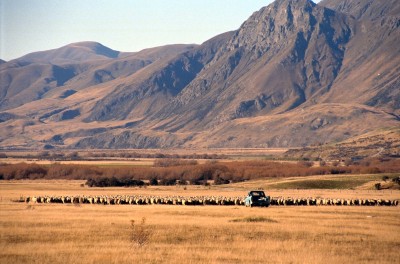 Farm near Methven, Canterbury, South Island