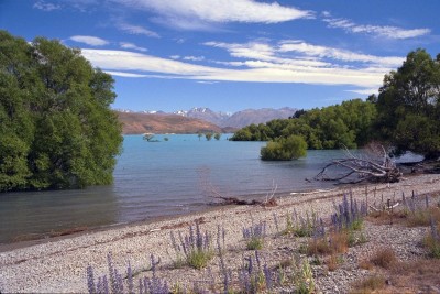 Lake Tekapo, Canterbury, South Island