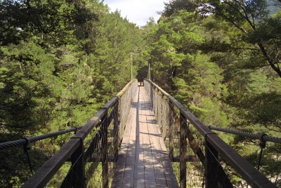Swing bridge near Nelson, South Island