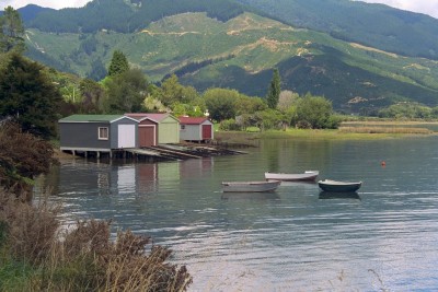 Grove, Marlborough Sounds, South Island