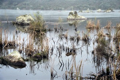Lake Whakamaru, Waikato, North Island