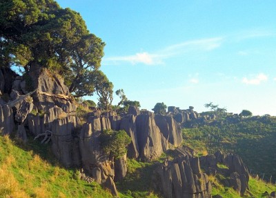 Rock Formations near Waitomo, Waikato, North Island
