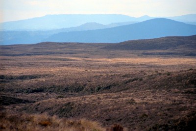 Near Waiouru, Central Plateau, North Island