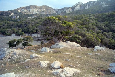 Landscape near Cheviot, Canterbury, South Island