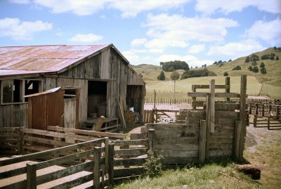 Farm near Taumaranui, Manawatu-Wanganui, North Island