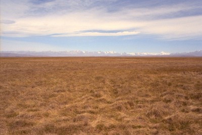 Tekapo, Canterbury, South Island