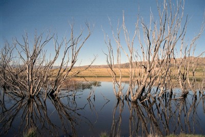Lake near Alexandra, Otago, South Island