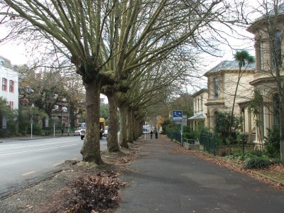 Symonds Street, Auckland, North Island