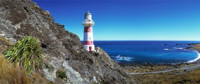 Cape Palliser, Wairarapa, North Island