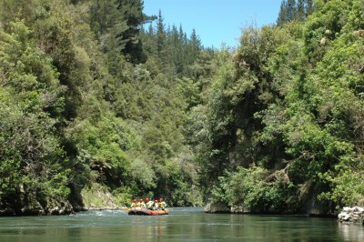 River near Rotorua, Bay of Plenty, North Island