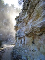 Waiotapu Thermal Park, Rotorua, North Island