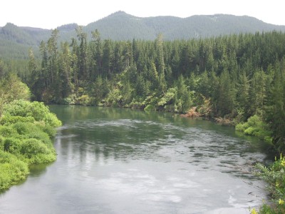 River near Rotorua, Bay of Plenty, North Island