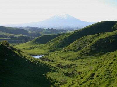 Fields near Eltham, Taranaki, North Island