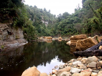 River near Urenui, Taranaki, North Island