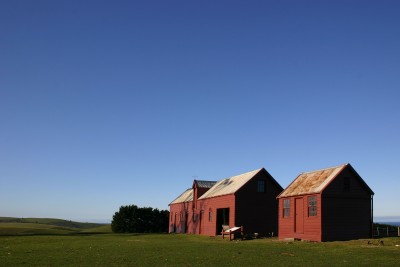 Waikouiti, near Dunedin, South Island