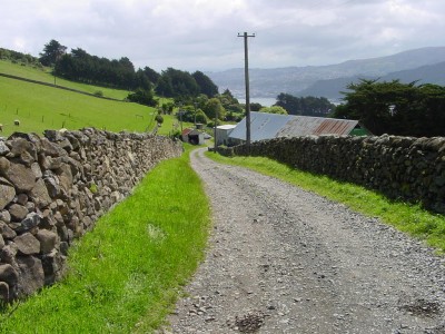Otago Peninsula, Dunedin, South Island