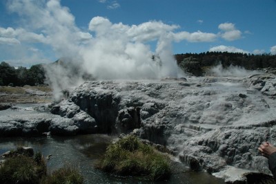 Geothermal attraction, Rotorua, North Island