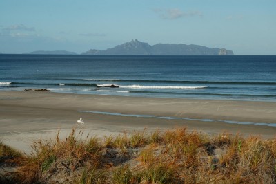 Mangawhai, Northland, North Island