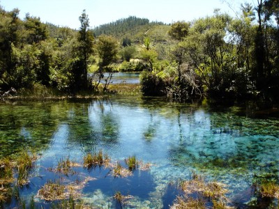 Pupu Springs, Takaka, South Island