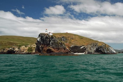 Taiaroa Head, Dunedin, South Island