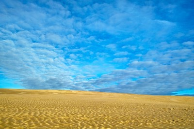Ninety Mile Beach, Northland, North Island