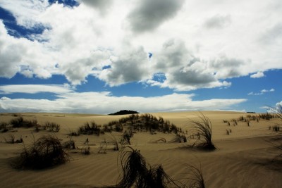 Ninety Mile Beach, Northland, North Island