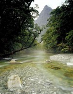 Stream near Milford, Southland, South Island