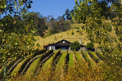 Black Barn, Havelock North, North Island