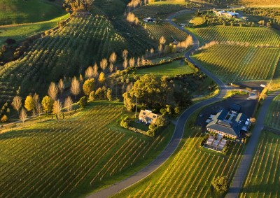 Black Barn Vineyard, Havelock North, North Island