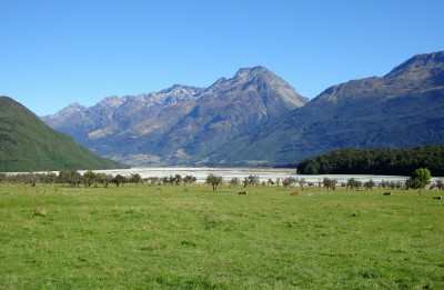 Dart River, Central Otago, South Island