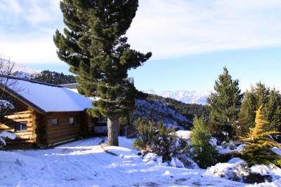 Log Cabin near Queenstown, Otago,  South Island