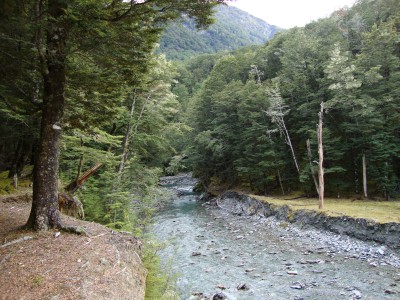 Earnslaw Burn, Glenorchy, Otago, South Island