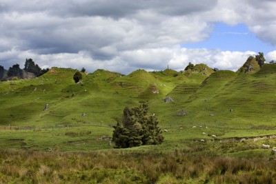 Farmland near Taihape, Manawatu-Wanganui, North Island