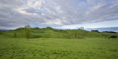Farmland near Te Kuiti, Waikato, North Island