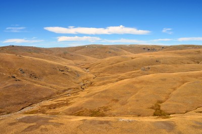 Old Man Range, Otago, South Island