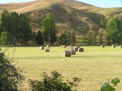 Patangata, Hawke's Bay, North Island