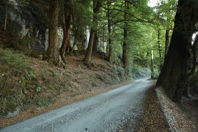 Glenorchy-Paradise Rd, Glenorchy, South Island