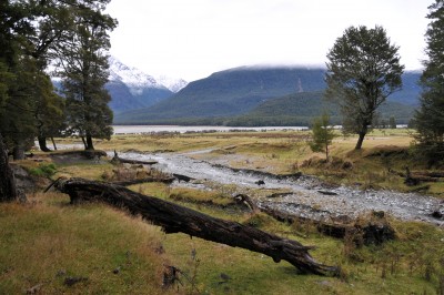 Arcadia Station, Glenorchy, South Island