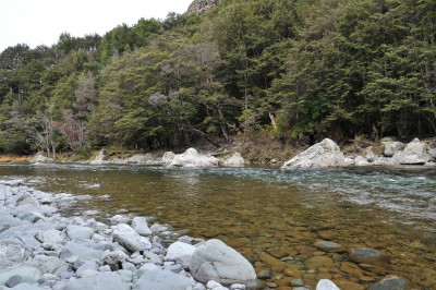 Greenstone Valley, Glenorchy, South Island