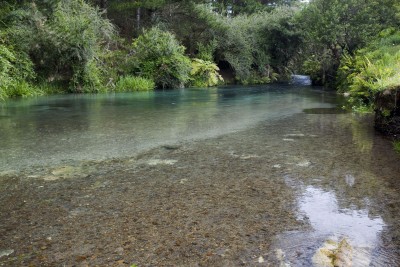 Ohinemuri River, Waikato, North Island