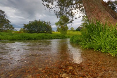 Ohinemuri River, Waikato, North Island