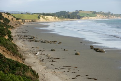 Moeraki Boulders, Oamaru, South Island