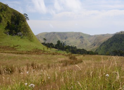 Jonkers Farm, Auckland 