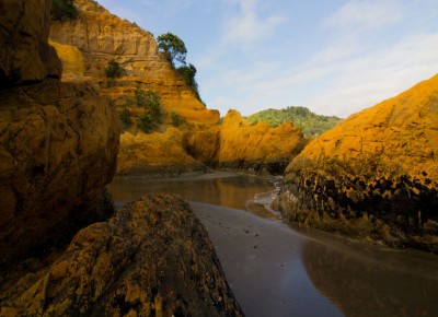 Morices Beach, Bay of Plenty