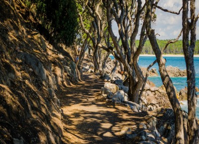 Mt Maunganui, Bay of Plenty