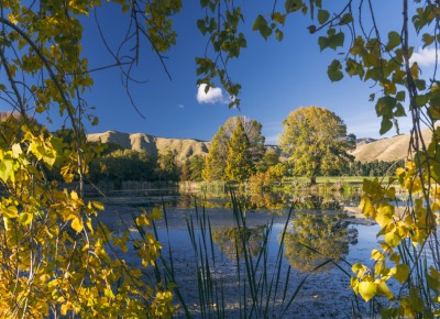 Taylor Dam, Marlborough