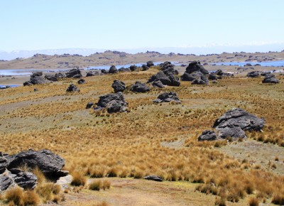 Poolburn Lake, Otago