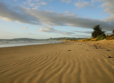 Shag Point Beach, Otago